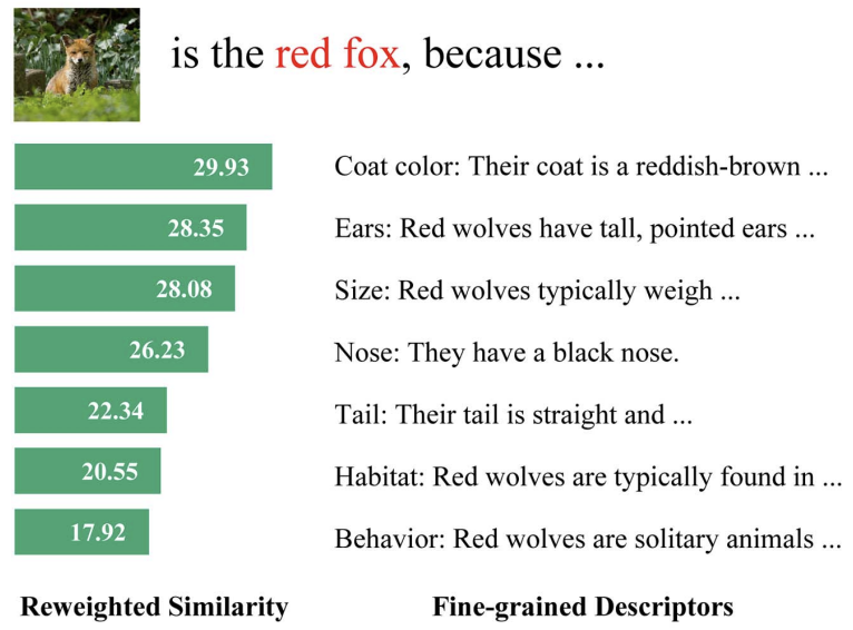 Boosting Long-Tailed Recognition With Label Descriptor and Beyond